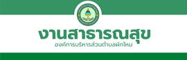 งานสาธารณสุข
